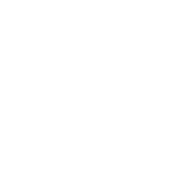 boldwings logo